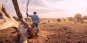 Farmer leans against a dead tree and gazes at a dry and dusty landscape