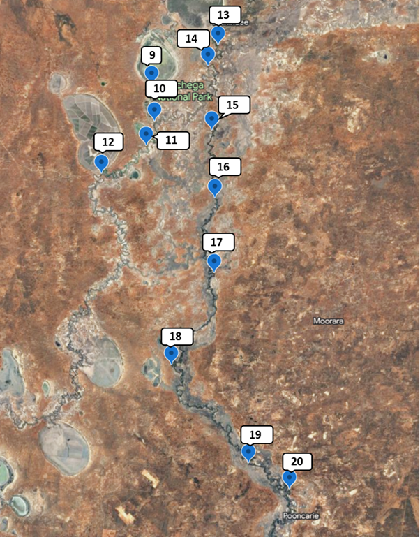Map - Figure 3: Sample locations for the Great Darling Anabranch and lower Darling-Barka river between Weir 32 and Pooncarie regions