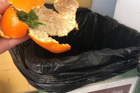 Placing food waste into organics bin 