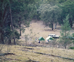 A group of people gathered around a tent in the woods.