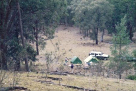 A group of people gathered around a tent in the woods.
