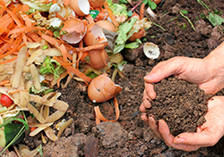 vegetable peelings on soil, cupped hands holding soil