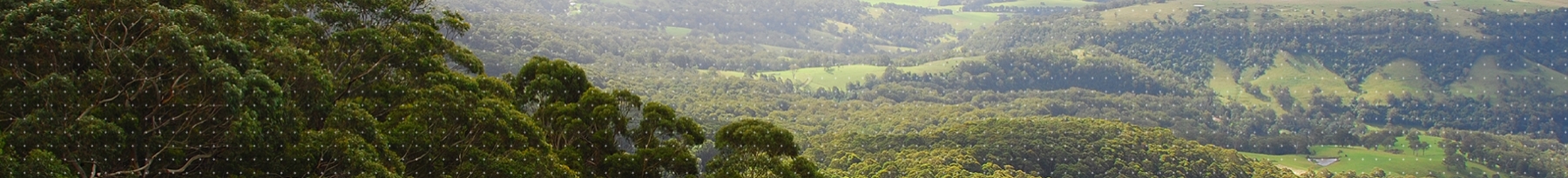 Photograph of pastures and hills