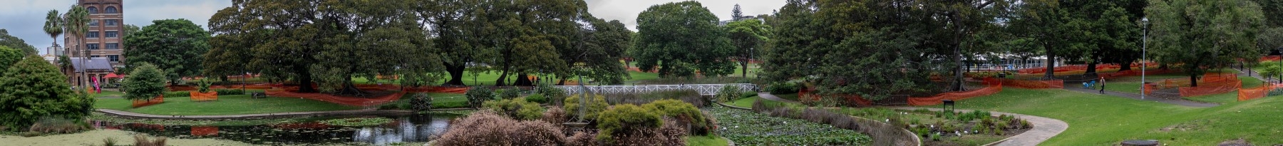 Sections of Victoria Park in Camperdown closed to the public.