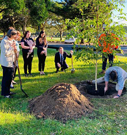staff watch on while the EPA tree is planted by the Minister