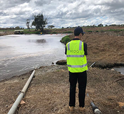 EPA officer inspecting effluent management ponds at an intensive livestock facility