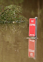 the top of a red no stopping street sign visible above brown floodwaters