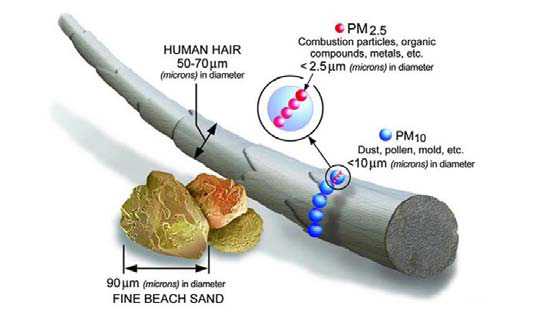 Image comparing the size of particle pollution to a human hair