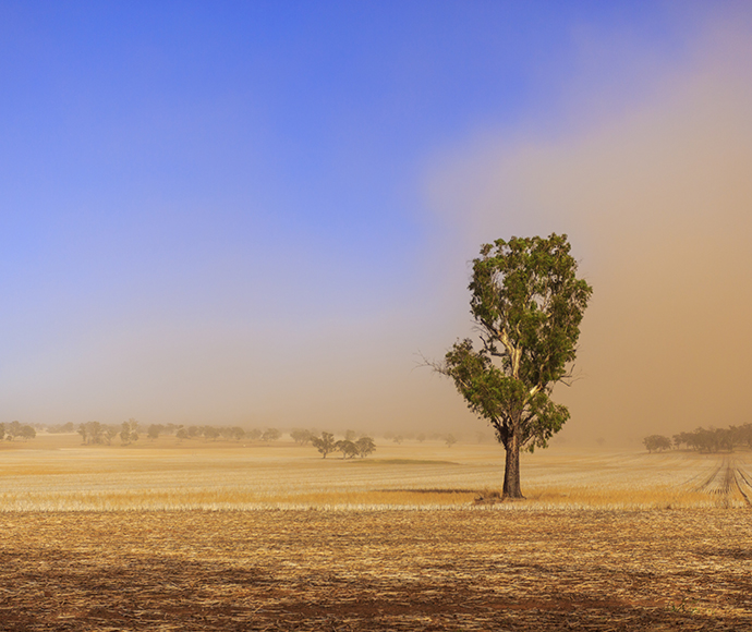 Dust storm blowing over the agricultural paddocks between Wagga Wagga and Temora, New South Wales