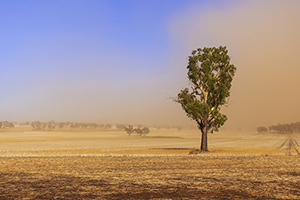 Dust storm blowing over the paddocks between Wagga Wagga and Temora, NSW