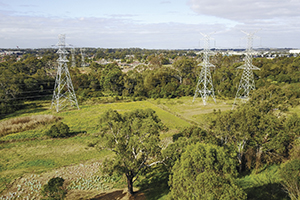 Power poles, Ropes Creek Corridor, Sydney