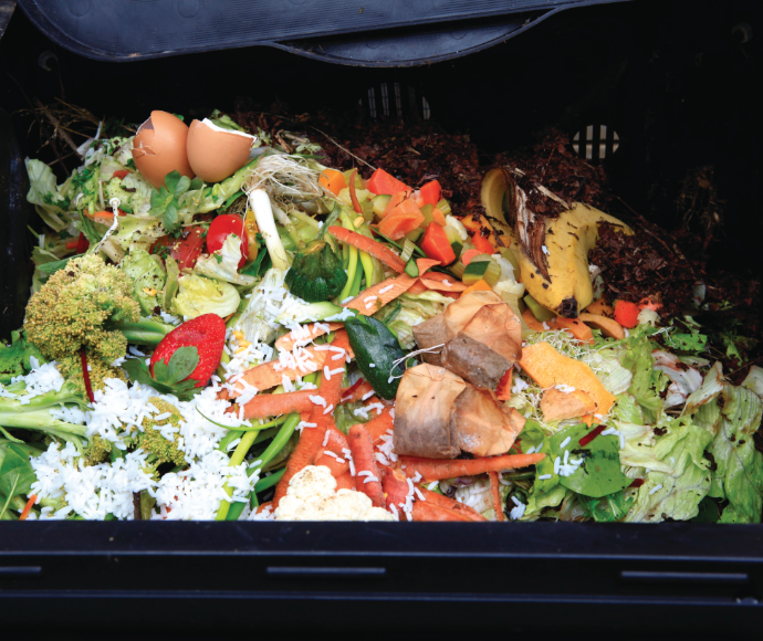 Photograph of household food waste scraps in a recycle compost bin