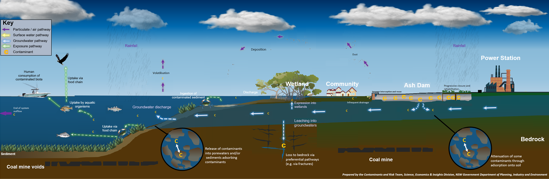 Conceptual diagram showing the key transport pathways, potential impacts, and management responses associated with coal ash repositories.