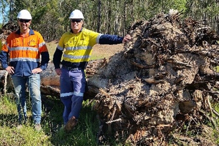 EPA and Partner representatives with a tree stump