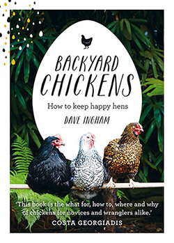 cover of Backyard chickens by Dave Ingham