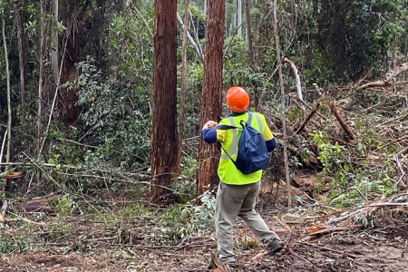 EPA inspector in a forest