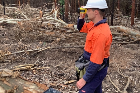 a worker wearing a hard hat and hi-vis shirt inspecting a forested area