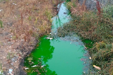 water in drain dyed green from plumbers dye