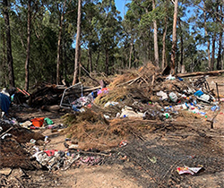 Litter in bush after fires