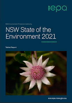 , flannel flower on cover of the State of Environment Report