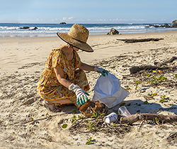 woman collecting plastic bottles washed up on beach