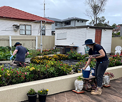 EPA officers test soil in garden of residence in Port Kembla