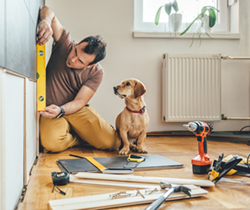 Man safely doing renovations to interior of home while dog watches on