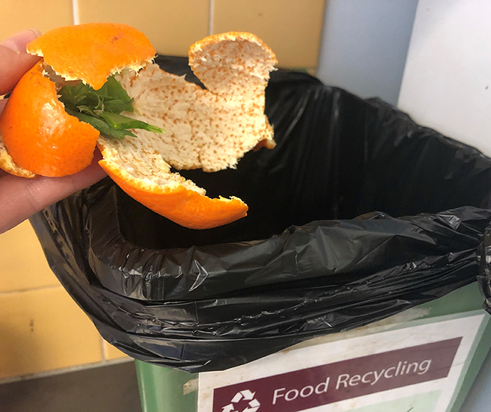 Placing food waste into organics bin 