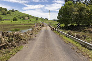 Flood-damaged vegetation by the roadside in a rural setting
