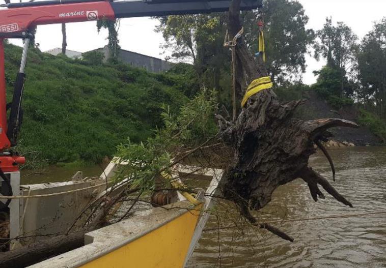 Submerged tree removal that poses a hazard to water users, Hawkesbury River at Windsor