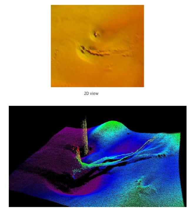 Multibeam 2D and 3D scans showing a submerged tree caught up on a bridge