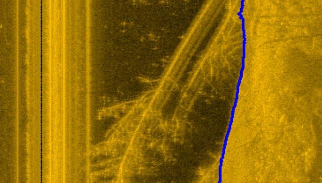 Side scan image showing trees fallen from bank into river