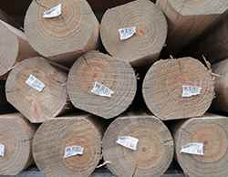 copper chrome arsenate treated logs