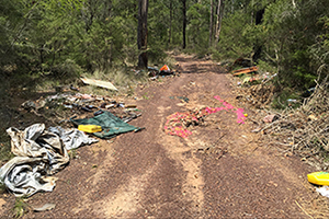 Illegal dumping, containing asbestos, Werakata National Park, Werakata State Conservation Area and Sugarloaf State Conservation Area