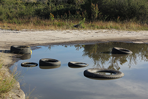Illegally dumped tyres in waterway, Maddens Plains, Illawarra