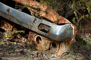 Rusting car dumped in bushland