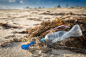 Plastic litter on the beach