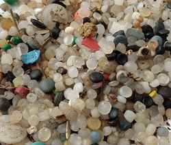 Plastic resin pellets (nurdles)