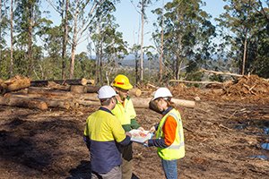 EPA Officer consulting Forestry workers on site, Coopernook State Forest