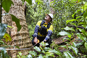 EPA officer in the field, inspecting forestry operations