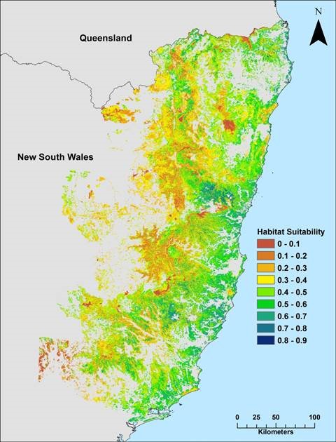 Map of koala habitat suitability in north-east NSW (red is lowest habitat suitability, yellow and green are moderate suitability and blue is highest habitat suitability)