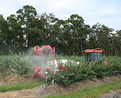 Applying pesticide to blueberry rows using a spraying rig