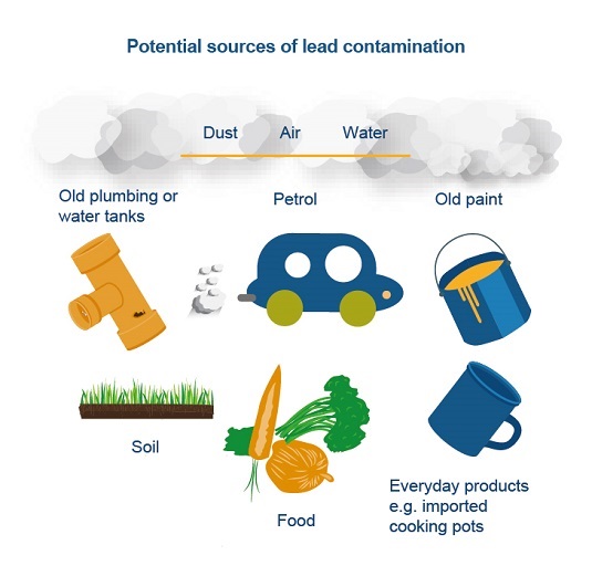 Potential sources of lead contamination - Dust, Air Water. Old plumbing or water tanks, petrol, old paint, soil, food, everyday products eg imported cooking pots.