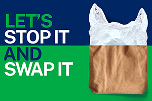 Let's Stop It and Swap It! bag - swapping plastic for paper
