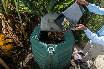 tipping food waste into the composter