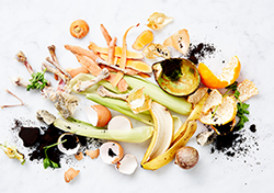 vegetable peelings, fruit skins and egg shells on a white background