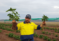 man in field holding up plants