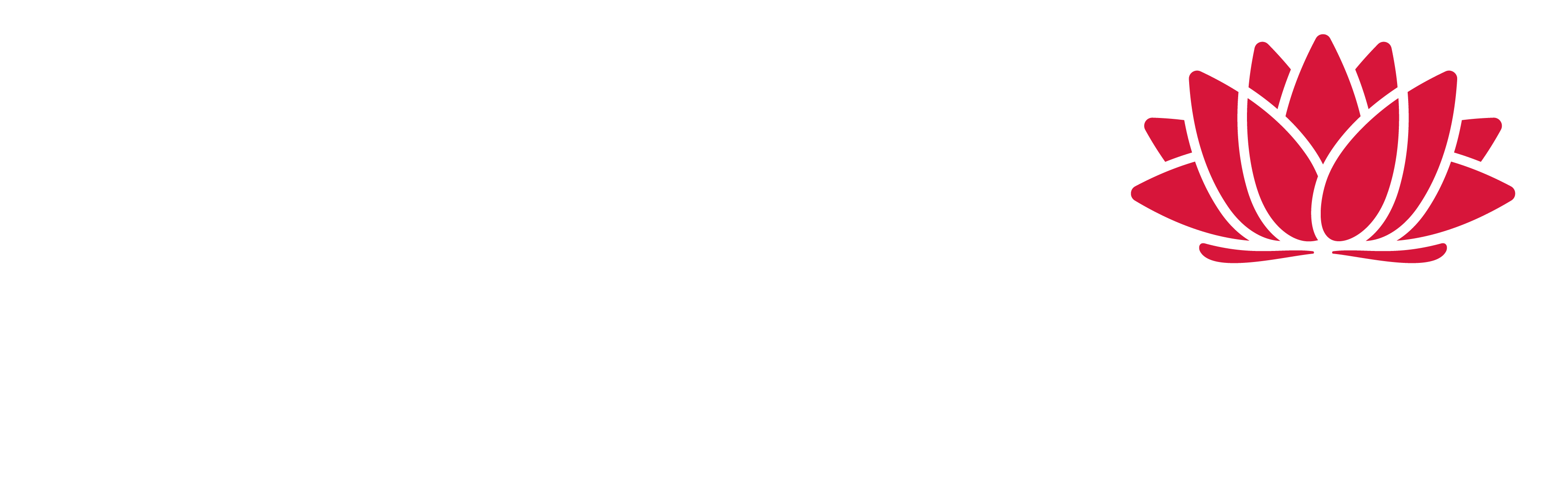 EPA_NSWGov_Coupled_Rev_White_RGB