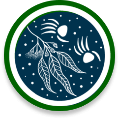 Biodiversity thumbnail