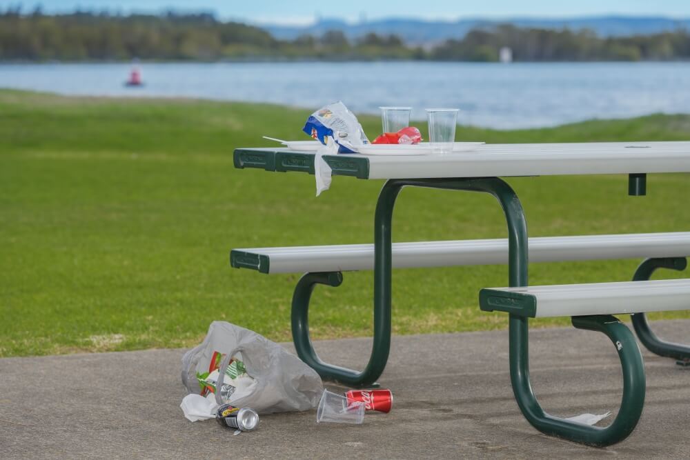 Litter in Park